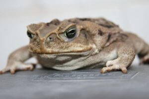 生理前の肌荒れに効果的なベースの乗せ方は？