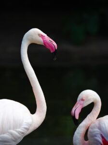 首の色差解消に効果的なベースメイクのコツは？