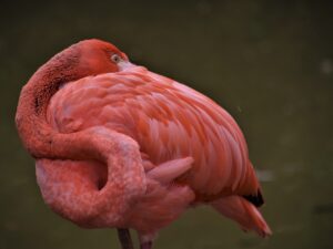 首の色差解消に役立つベースメイクのコツは？