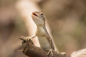 コンシーラーは先か後か？韓国ベースメイクの正解は？