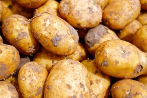 下地がいらないファンデはクッションタイプで本当に大丈夫？