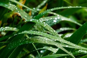 梅雨の湿気による崩れ対策に効果的なフィクサーは？