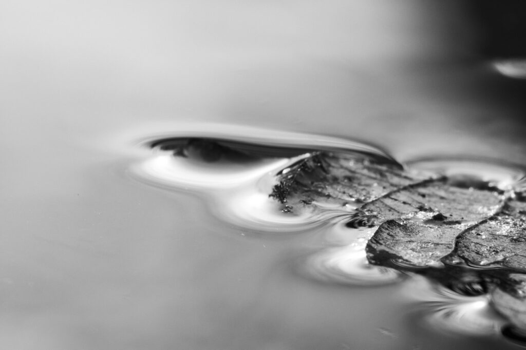 水光肌を実現するための下地の選び方とは？
