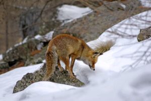 韓国式ツヤ肌を目指す皮脂が多い人の水分の入れ方は？