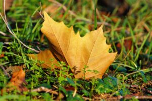 肌荒れ時に冬の乾燥を乗り切る対策は？