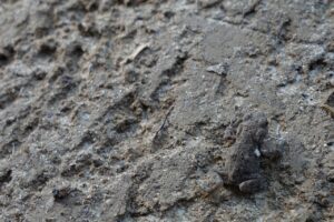 テカリに見えないツヤの作り方は？