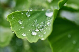 ニキビできた日のベースの引き算とは何ですか？