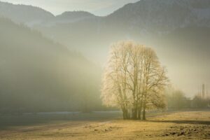 寝不足の朝に透明感を戻す方法は？