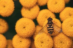 花粉の時期に刺激最小でツヤを保つ方法は？