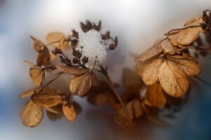 透明感ケアにおける冬の乾燥でくすむ解決法は？