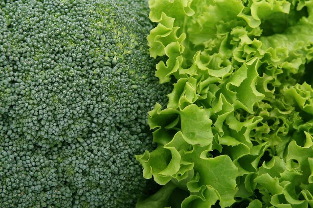 透明感ケアは野菜不足の影響が肌に出る？