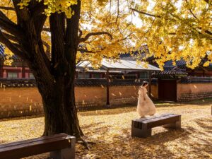 韓国コスメのレチ系導入を失敗しない計画とは？
